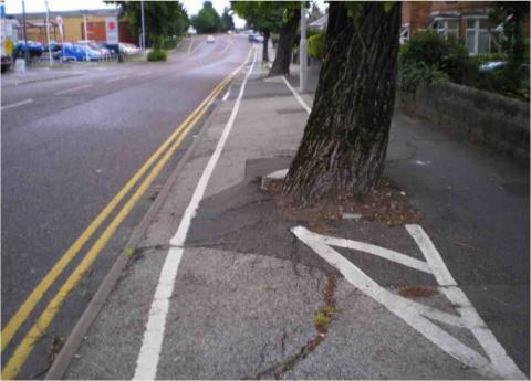 Picture of tree in the middle of a cycle-path/footpath